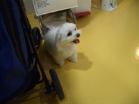 Cimg0956_3
