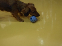 Cimg0987_2