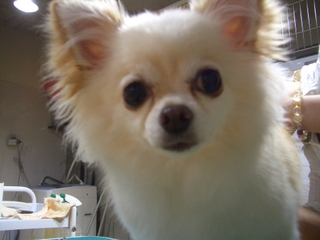 Cimg2381_2