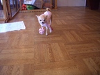 Cimg2989_2