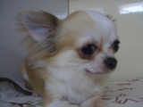 Cimg3878 Cimg3878