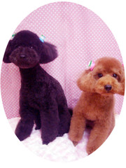 Photo_4