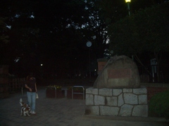 Cimg4382