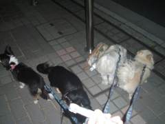 Cimg0025