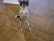 Cimg0129_2