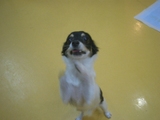 Cimg0143_2