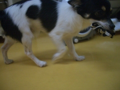 Cimg0166_2