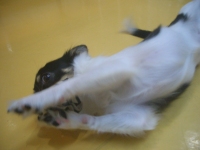 Cimg0168_2