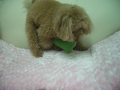 Cimg0360