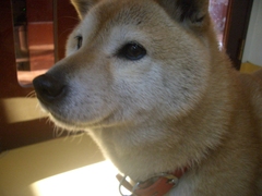 Cimg0374