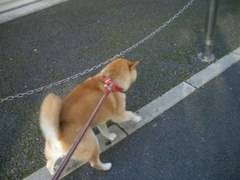 Cimg0404