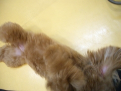 Cimg0429
