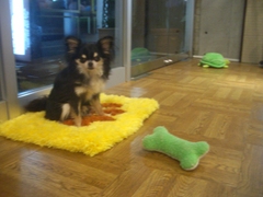 Cimg0011