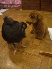 Cimg0022_2