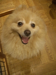 Cimg0024