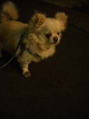 Cimg0043