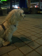 Cimg0044