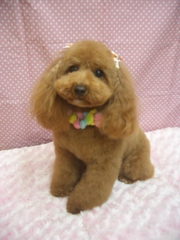 Cimg0207