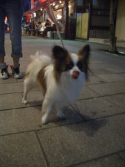 Cimg0002