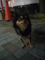 Cimg0006