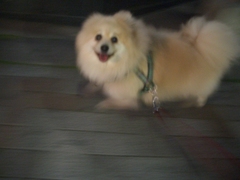 Cimg0007