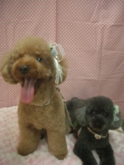 Cimg0018