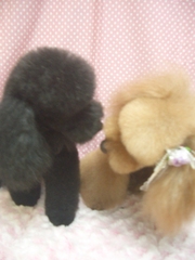 Cimg0040_2