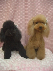 Cimg0063