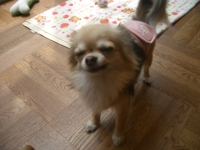 Cimg0078