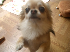 Cimg0079