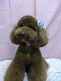 Dscf1051_2