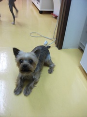 Dscf1068