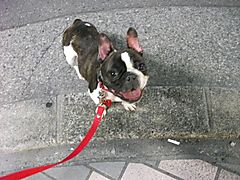 Dscf1108