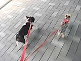 Dscf1110