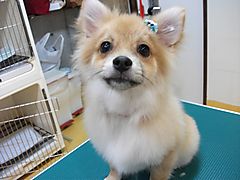 Dscf1141