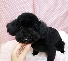 Photo_5