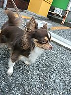 Dscf1260_2