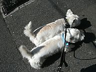 Dscf1309_2