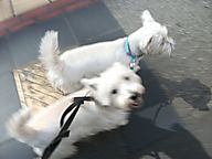 Dscf1310