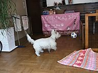 Dscf1317