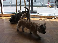 Dscf1360