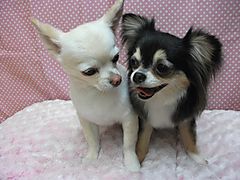 Dscf1164