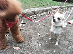 Dscf1440