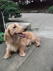 Dscf1448
