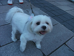 Dscf1507