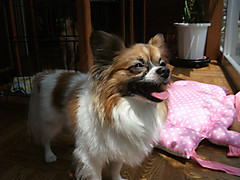 Dscf1537