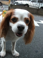 Dscf1585