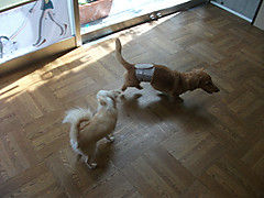 Dscf1620