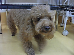 Dscf1662