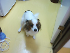 Dscf1663